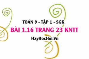 Bài 1.16 trang 23 Toán 9 tập 1 Kết nối tri thức SGK